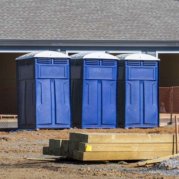 how often are the porta potties cleaned and serviced during a rental period in Hammett